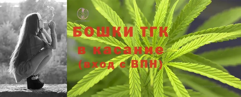 Канабис OG Kush  Беслан 